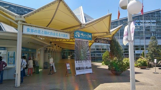 Tsurumi Ryokuchi Havuzu